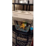 Image 3 of customer photos