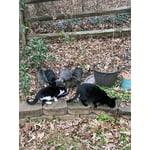 Image 7 of customer photos