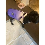 Image 2 of customer photos