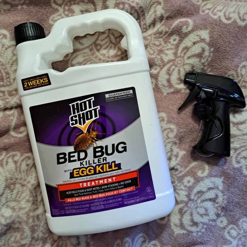 Hot Shot Indoor Bed Bug Flea Killer Spray, Tick Treatment, Ready