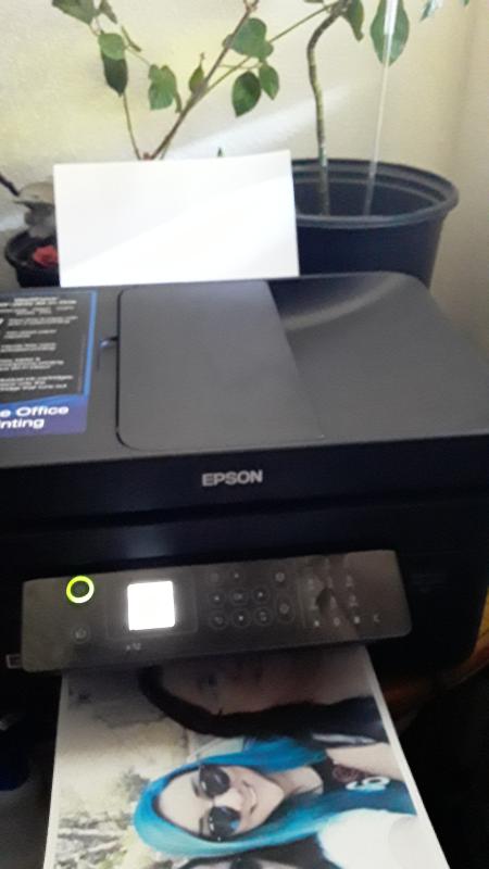 epson wf 2830 ink walmart