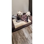 Image 2 of customer photos