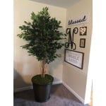 Image 5 of customer photos