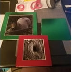 Image 5 of customer photos