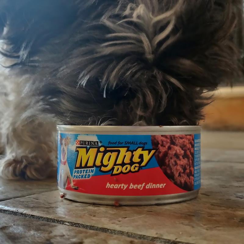Customer reviews for 12 Pack Purina Mighty Dog Small Breed Wet Dog Food Variety Pack Hearty Beef Smoked Chicken Bacon Combo Lamb Rice 5.5 oz. Cans Walmart