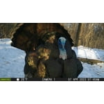 Image 3 of customer photos