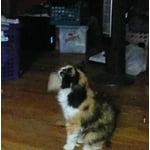 Image 2 of customer photos