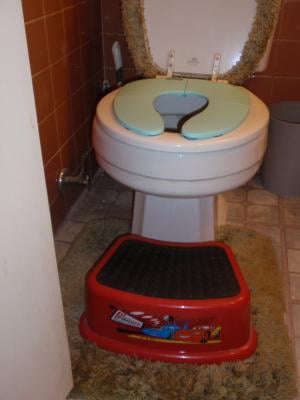 Includes Free Travel Bag Non-Slip Suction Cups Folding Travel Potty Seat for Boys and Girls Jool Baby Fits Round /& Oval Toilets