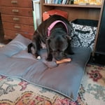 Image 6 of customer photos