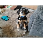 Image 3 of customer photos