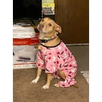 Image 2 of customer photos