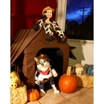 Image 3 of customer photos