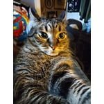 Image 2 of customer photos