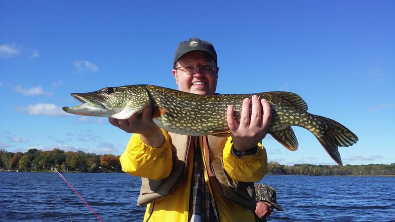 zebco bullet walmart