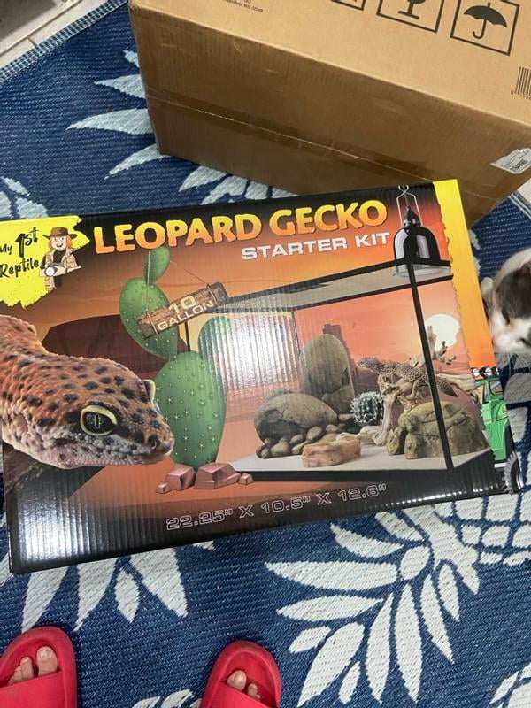 My 1st Reptile Leopard Gecko Starter Kit, 10 Gallon Terrarium