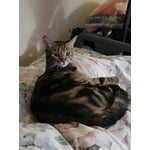 Image 6 of customer photos