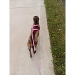 Image 3 of customer photos