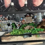 Image 7 of customer photos