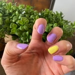 Image 4 of customer photos