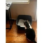 Image 4 of customer photos