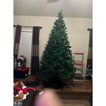 Image 4 of customer photos