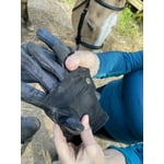 Image 2 of customer photos