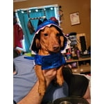 Image 4 of customer photos