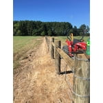 Image 2 of customer photos