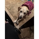 Image 6 of customer photos