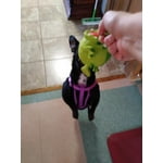 Image 5 of customer photos