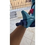 Image 6 of customer photos