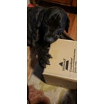 Image 7 of customer photos