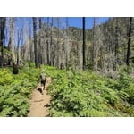 Image 6 of customer photos