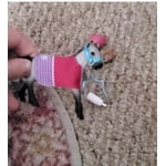 Image 3 of customer photos