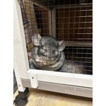 Image 4 of customer photos