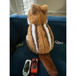 Image 2 of customer photos