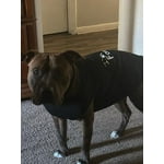 Image 2 of customer photos