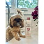 Image 6 of customer photos