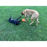 Image 7 of customer photos