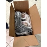 Image 3 of customer photos