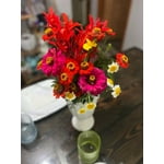 Image 6 of customer photos