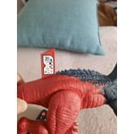 Image 7 of customer photos