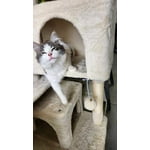 Image 7 of customer photos