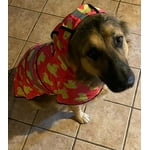 Image 3 of customer photos