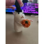 Image 7 of customer photos