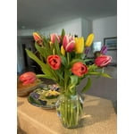 Image 4 of customer photos