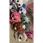Image 2 of customer photos