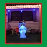 Image 4 of customer photos