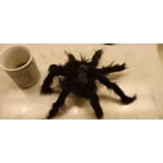 Image 1 of customer photos