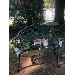 Image 5 of customer photos